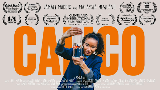 Movie poster for short film "Calico"